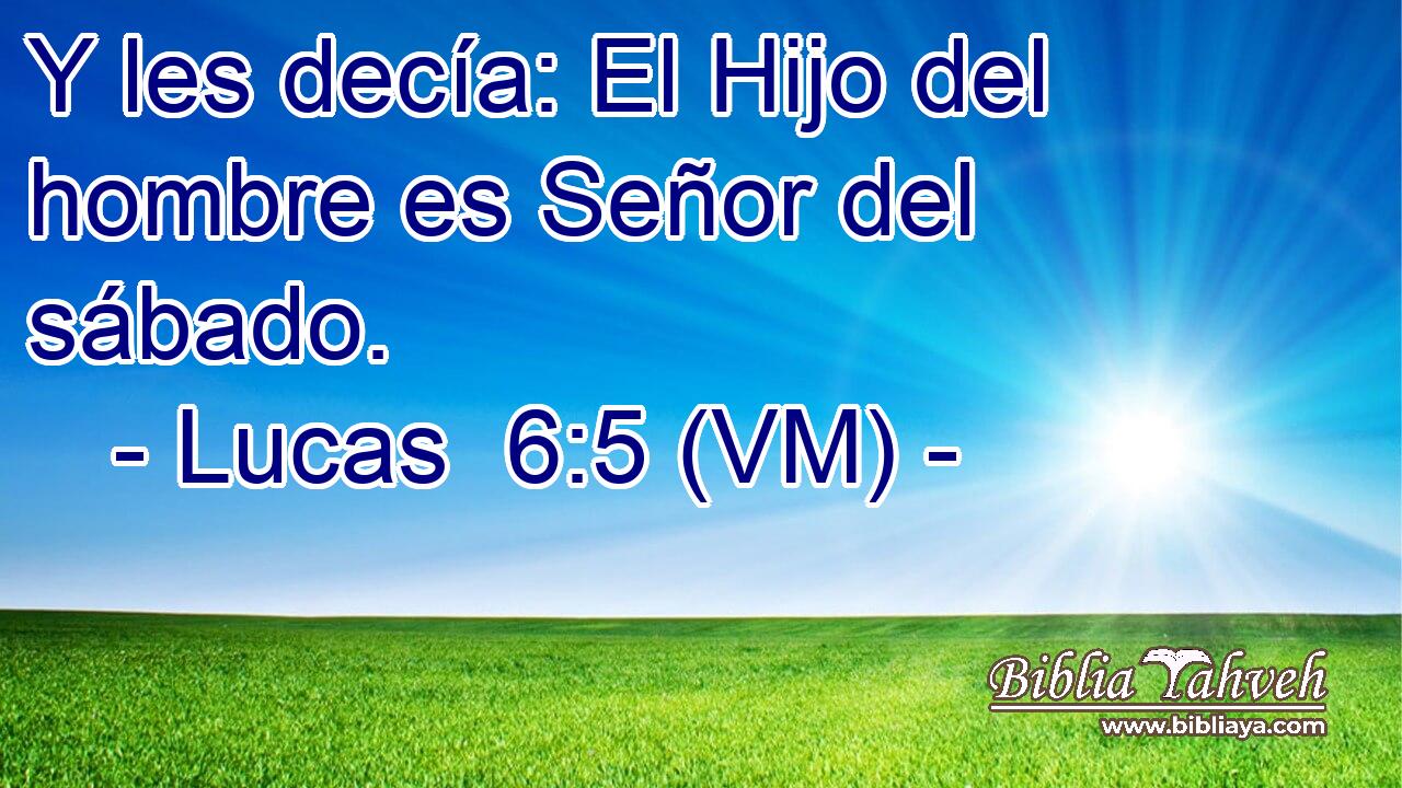  Y les decía: El Hijo del hombre es Señor del sábado. 