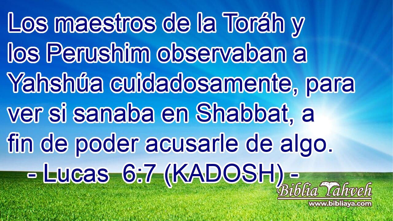  Los maestros de la Toráh y los Perushim observaban a Yahshúa cuidadosamente, para ver si sanaba en Shabbat, a fin de poder acusarle de algo. 