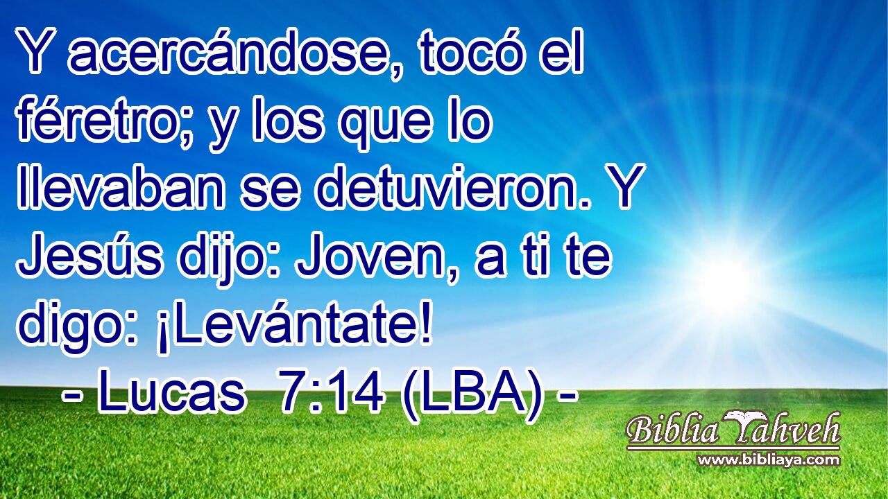 Y acercándose, tocó el féretro; y los que lo llevaban se detuvieron. Y Jesús dijo: Joven, a ti te digo: ¡Levántate!