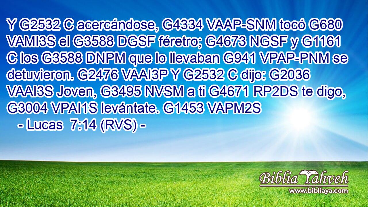 Y G2532 C acercándose, G4334 VAAP-SNM tocó G680 VAMI3S el G3588 DGSF féretro; G4673 NGSF y G1161 C los G3588 DNPM que lo llevaban G941 VPAP-PNM se detuvieron. G2476 VAAI3P Y G2532 C dijo: G2036 VAAI3S Joven, G3495 NVSM a ti G4671 RP2DS te digo, G3004 VPAI1S levántate. G1453 VAPM2S 