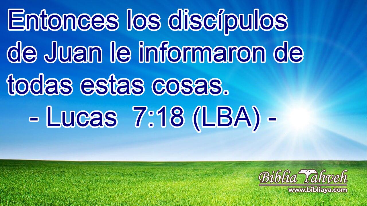 Entonces los discípulos de Juan le informaron de todas estas cosas.