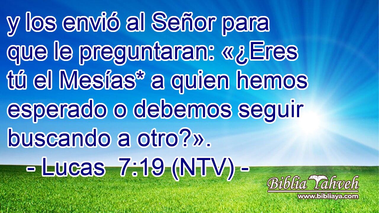 y los envió al Señor para que le preguntaran: «¿Eres tú el Mesías* a quien hemos esperado o debemos seguir buscando a otro?».