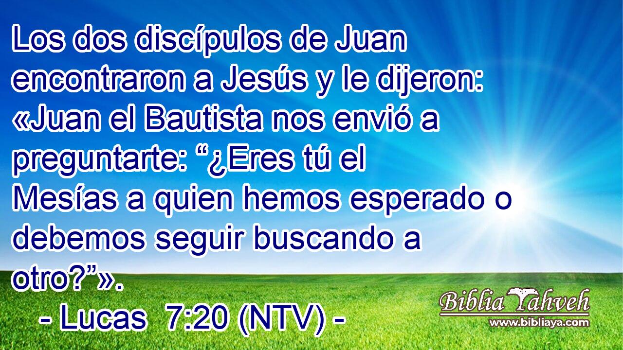 Los dos discípulos de Juan encontraron a Jesús y le dijeron: «Juan el Bautista nos envió a preguntarte: “¿Eres tú el Mesías a quien hemos esperado o debemos seguir buscando a otro?”».