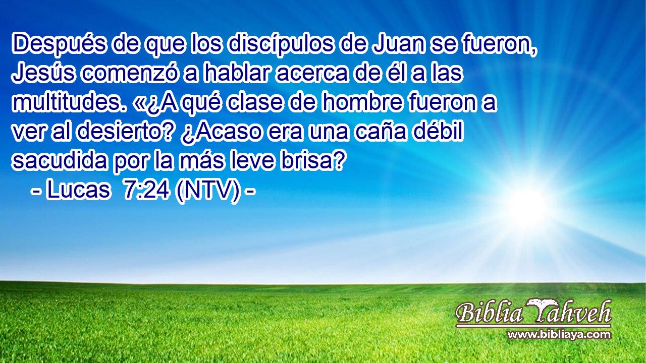 Después de que los discípulos de Juan se fueron, Jesús comenzó a hablar acerca de él a las multitudes. «¿A qué clase de hombre fueron a ver al desierto? ¿Acaso era una caña débil sacudida por la más leve brisa?