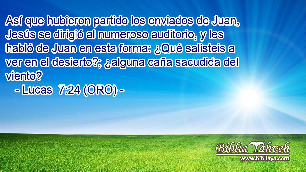  Así que hubieron partido los enviados de Juan, Jesús se dirigió al numeroso auditorio, y les habló de Juan en esta forma: ¿Qué salisteis a ver en el desierto?; ¿alguna caña sacudida del viento? 