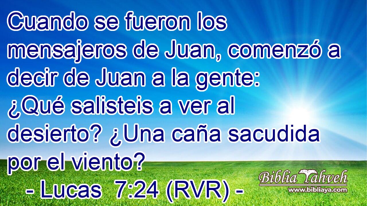 Cuando se fueron los mensajeros de Juan, comenzó a decir de Juan a la gente: ¿Qué salisteis a ver al desierto? ¿Una caña sacudida por el viento?