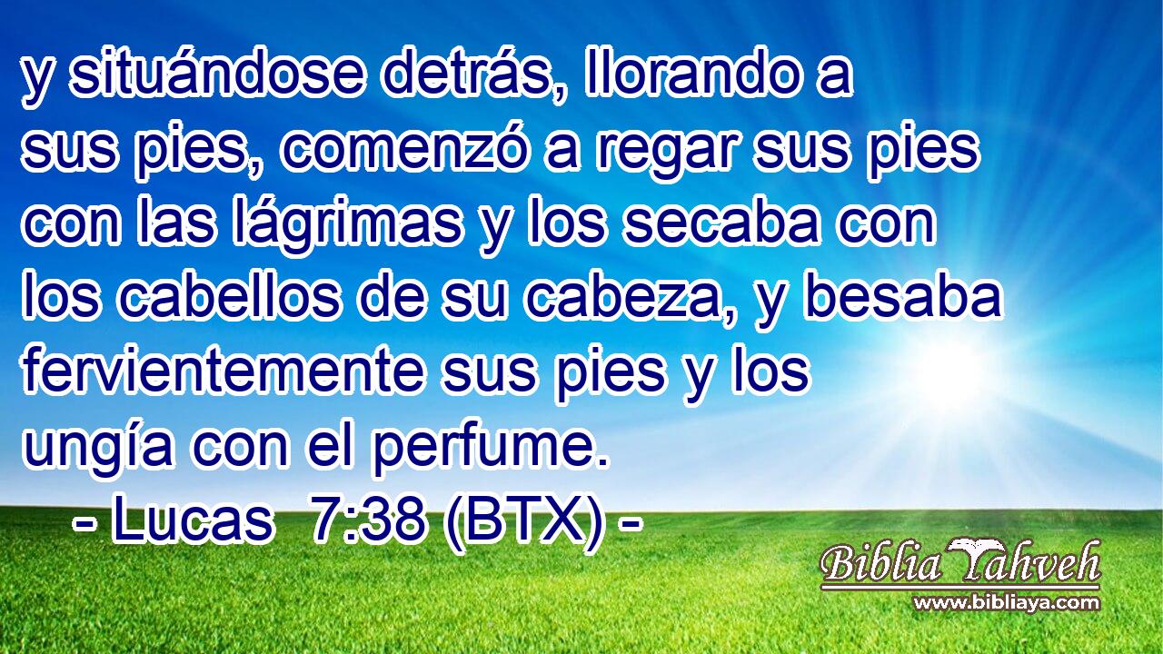 y situándose detrás, llorando a sus pies, comenzó a regar sus pies con las lágrimas y los secaba con los cabellos de su cabeza, y besaba fervientemente sus pies y los ungía con el perfume.