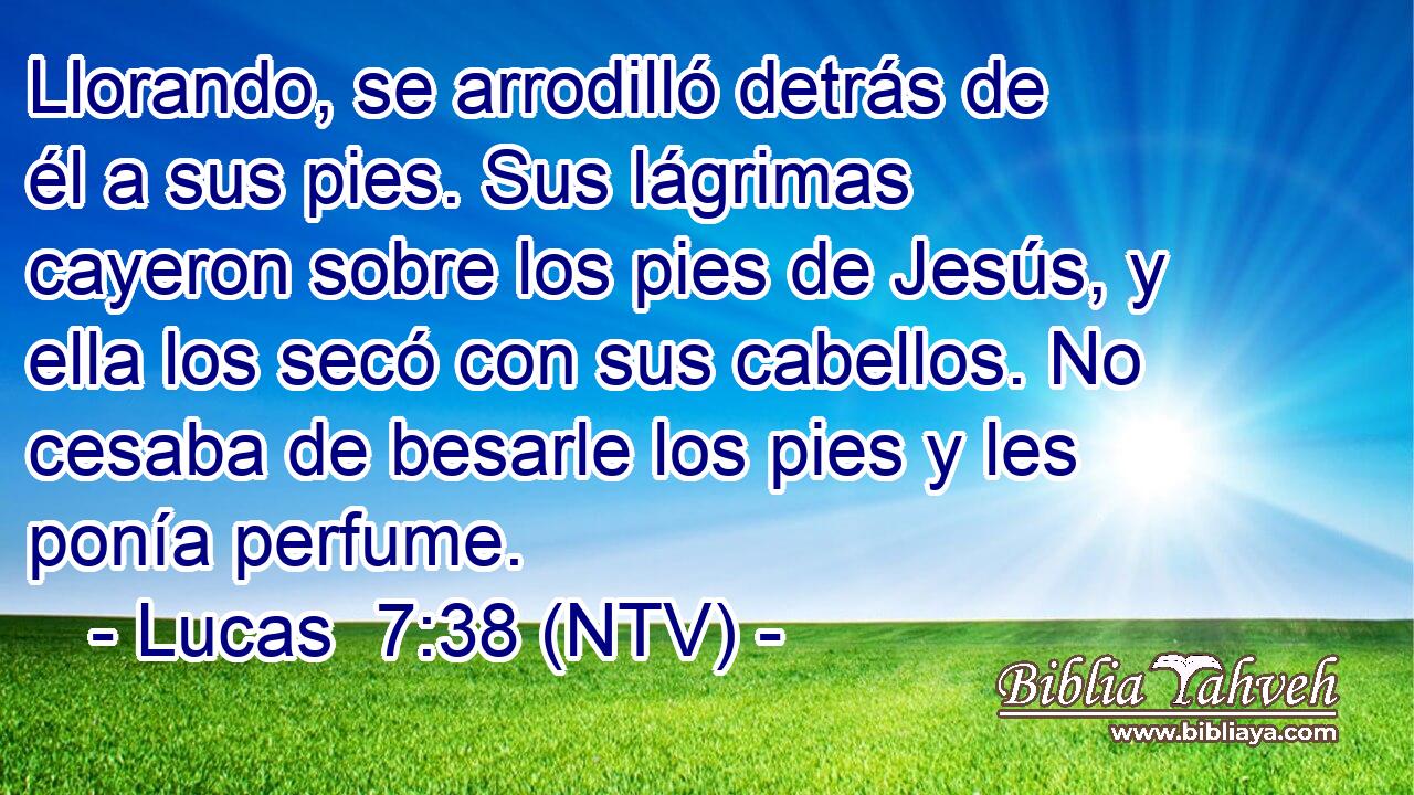 Llorando, se arrodilló detrás de él a sus pies. Sus lágrimas cayeron sobre los pies de Jesús, y ella los secó con sus cabellos. No cesaba de besarle los pies y les ponía perfume.