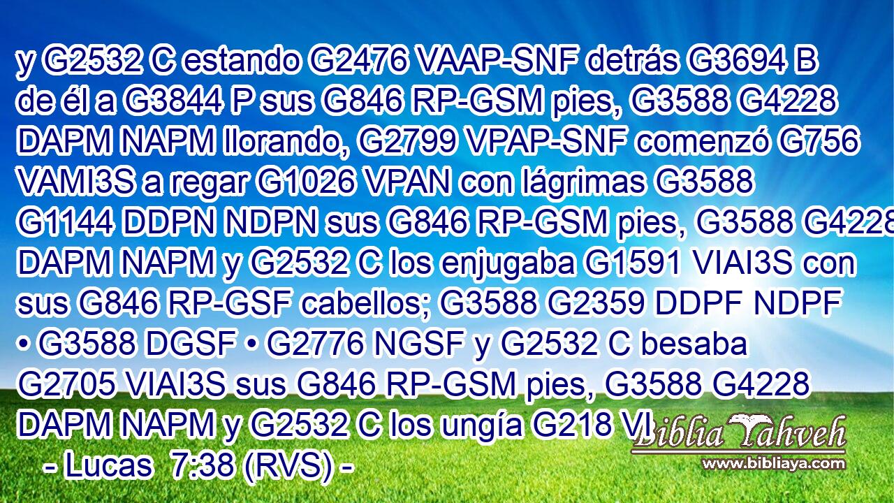y G2532 C estando G2476 VAAP-SNF detrás G3694 B de él a G3844 P sus G846 RP-GSM pies, G3588 G4228 DAPM NAPM llorando, G2799 VPAP-SNF comenzó G756 VAMI3S a regar G1026 VPAN con lágrimas G3588 G1144 DDPN NDPN sus G846 RP-GSM pies, G3588 G4228 DAPM NAPM y G2532 C los enjugaba G1591 VIAI3S con sus G846 RP-GSF cabellos; G3588 G2359 DDPF NDPF • G3588 DGSF • G2776 NGSF y G2532 C besaba G2705 VIAI3S sus G846 RP-GSM pies, G3588 G4228 DAPM NAPM y G2532 C los ungía G218 VI