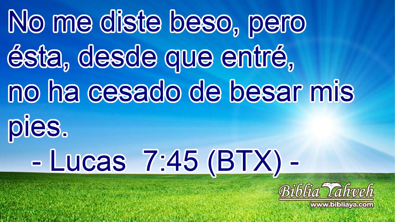 No me diste beso, pero ésta, desde que entré, no ha cesado de besar mis pies.