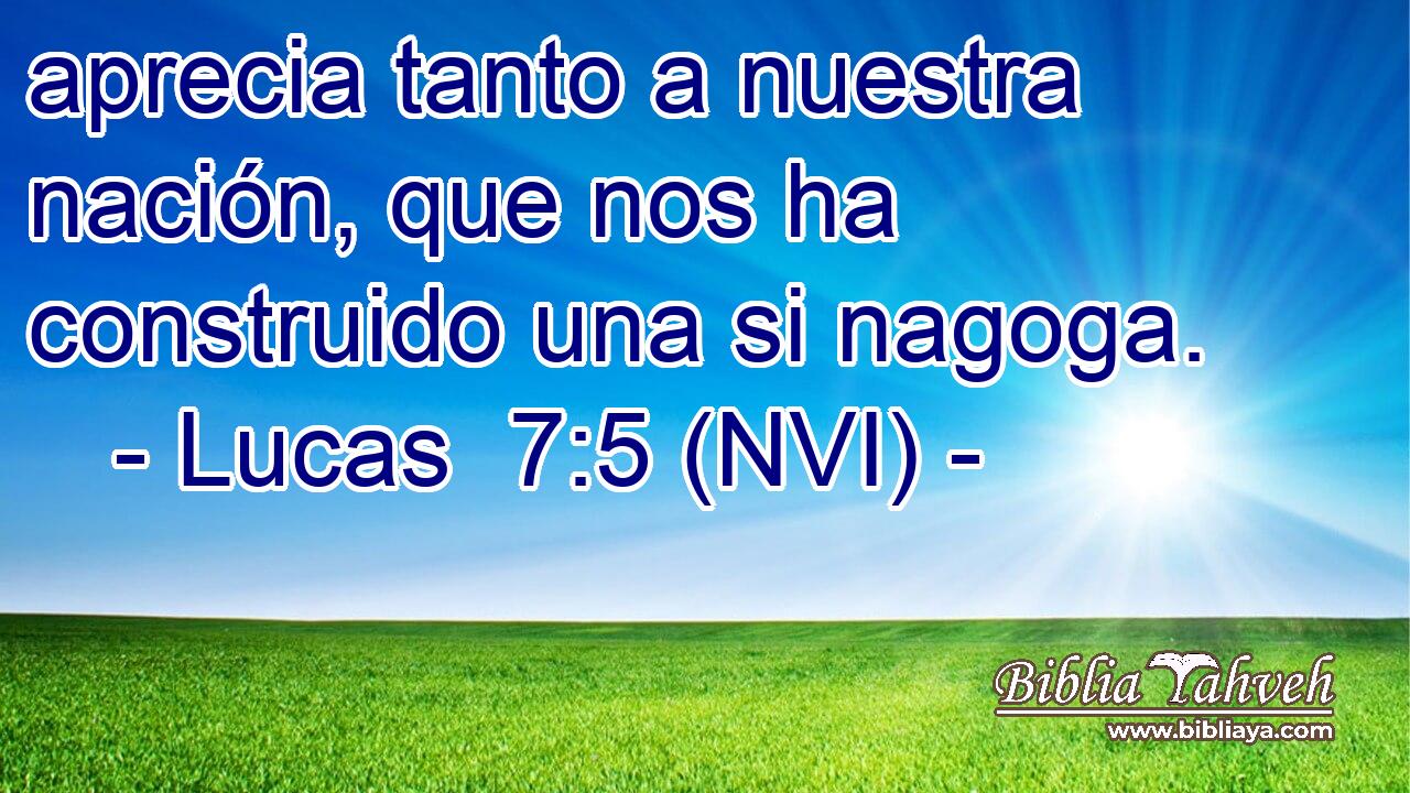  aprecia tanto a nuestra nación, que nos ha construido una si nagoga. 