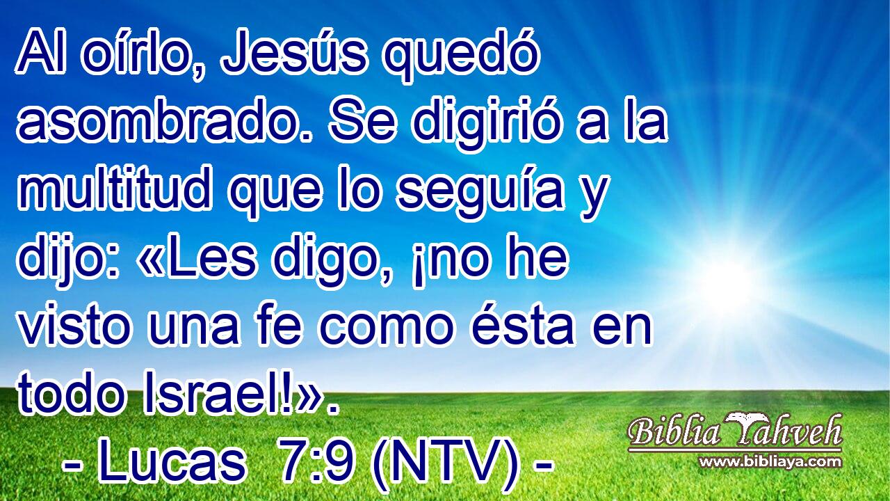 Al oírlo, Jesús quedó asombrado. Se digirió a la multitud que lo seguía y dijo: «Les digo, ¡no he visto una fe como ésta en todo Israel!».