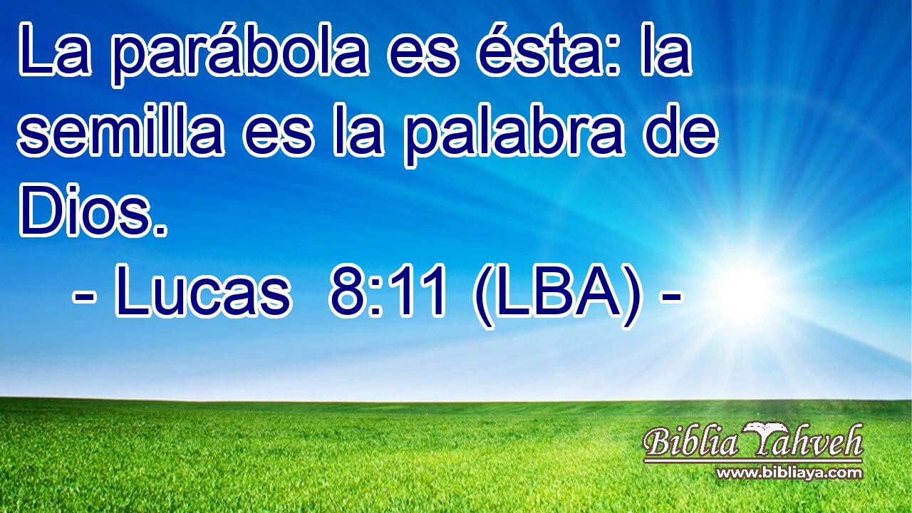 La parábola es ésta: la semilla es la palabra de Dios.