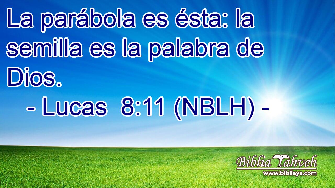  La parábola es ésta: la semilla es la palabra de Dios. 