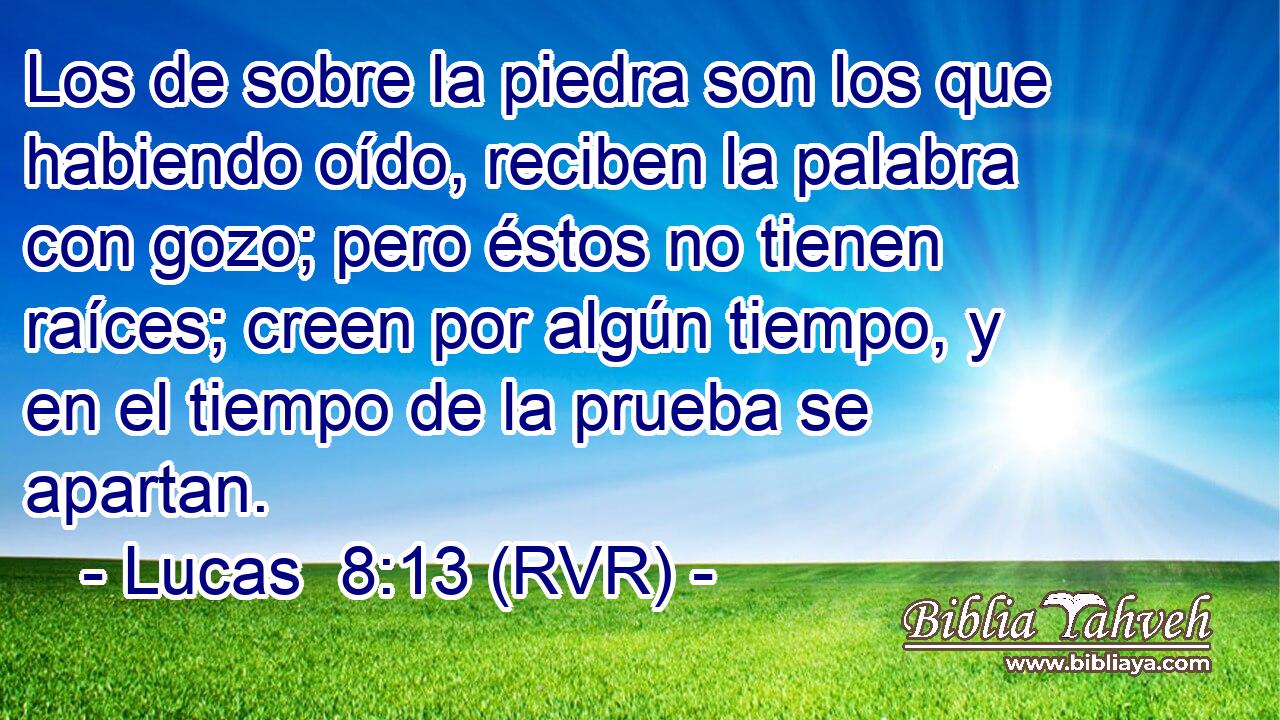 Los de sobre la piedra son los que habiendo oído, reciben la palabra con gozo; pero éstos no tienen raíces; creen por algún tiempo, y en el tiempo de la prueba se apartan.