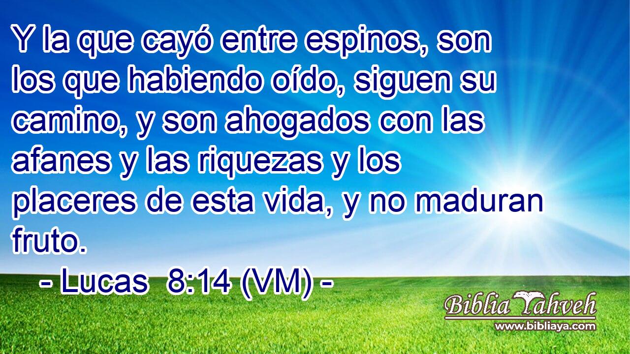  Y la que cayó entre espinos, son los que habiendo oído, siguen su camino, y son ahogados con las afanes y las riquezas y los placeres de esta vida, y no maduran fruto. 