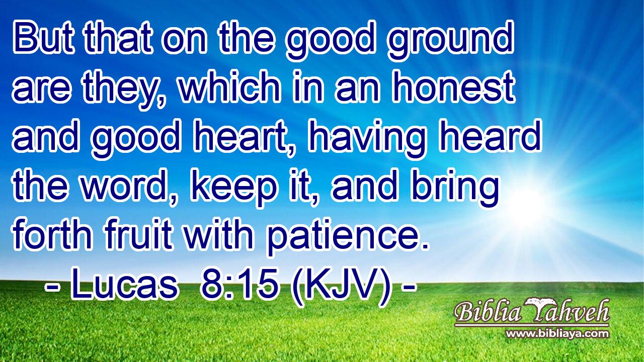 But that on the good ground are they, which in an honest and good heart, having heard the word, keep it, and bring forth fruit with patience.