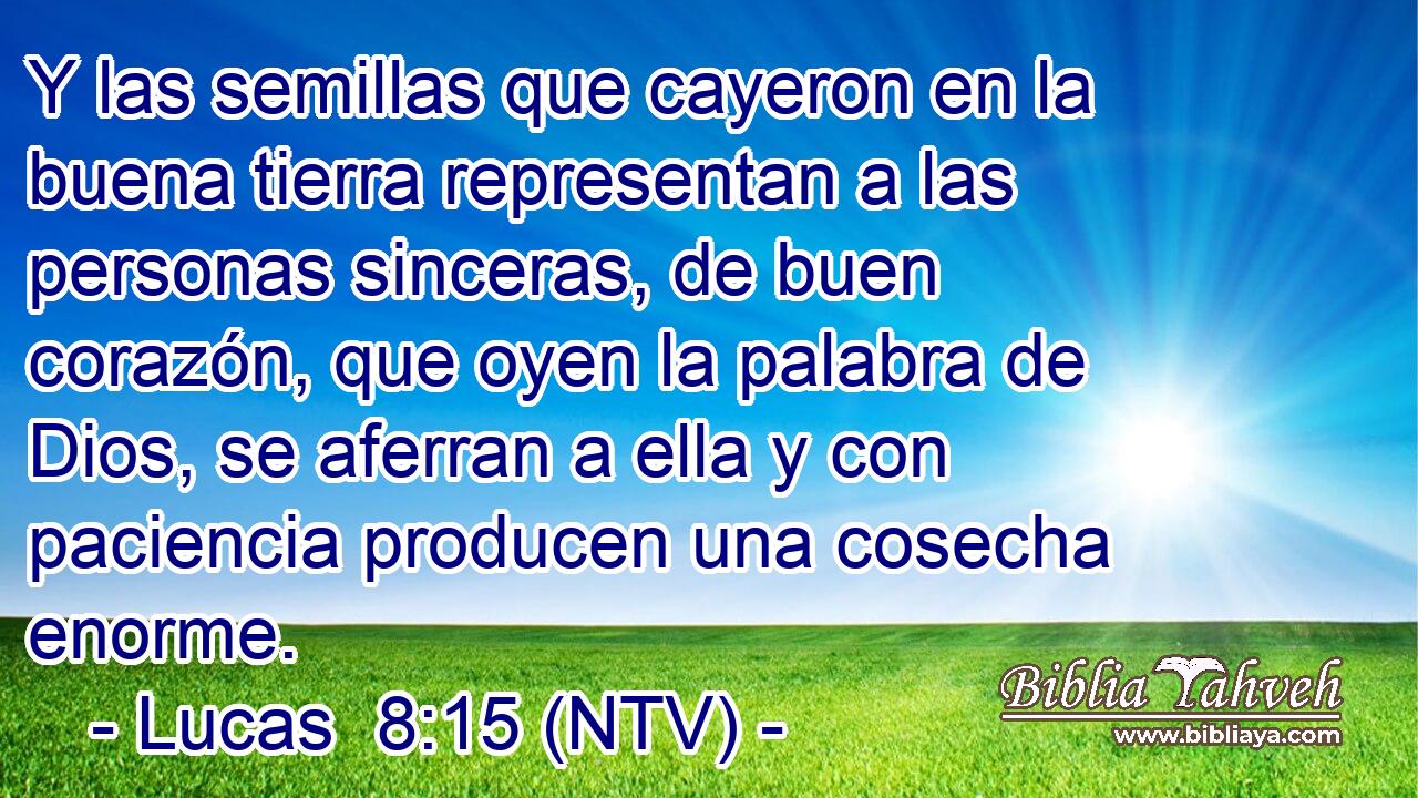 Y las semillas que cayeron en la buena tierra representan a las personas sinceras, de buen corazón, que oyen la palabra de Dios, se aferran a ella y con paciencia producen una cosecha enorme.