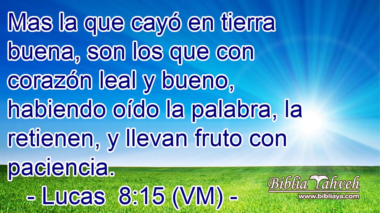  Mas la que cayó en tierra buena, son los que con corazón leal y bueno, habiendo oído la palabra, la retienen, y llevan fruto con paciencia. 