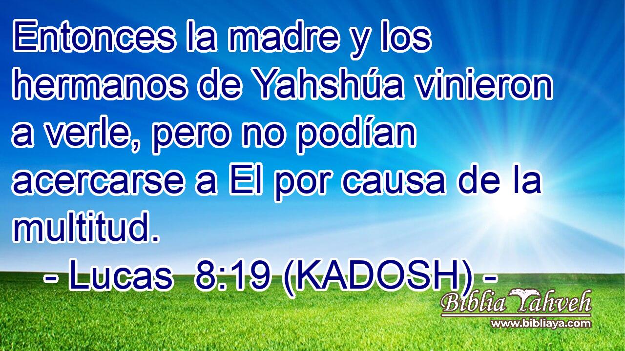  Entonces la madre y los hermanos de Yahshúa vinieron a verle, pero no podían acercarse a El por causa de la multitud. 