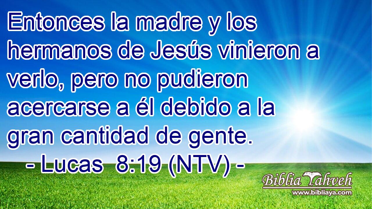 Entonces la madre y los hermanos de Jesús vinieron a verlo, pero no pudieron acercarse a él debido a la gran cantidad de gente.