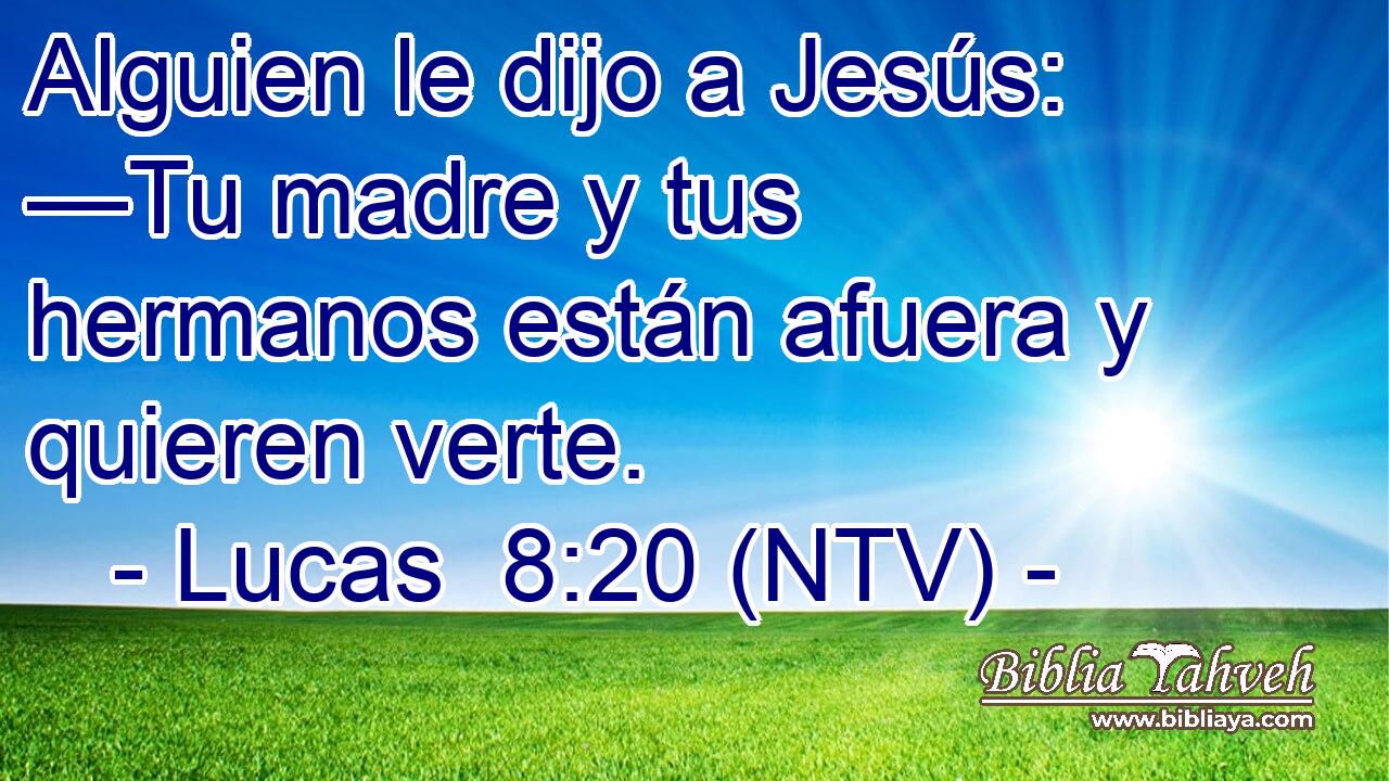 Alguien le dijo a Jesús: —Tu madre y tus hermanos están afuera y quieren verte.