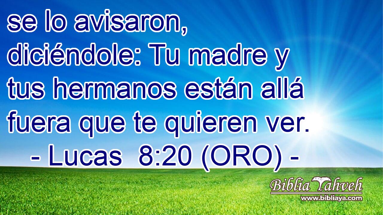  se lo avisaron, diciéndole: Tu madre y tus hermanos están allá fuera que te quieren ver. 