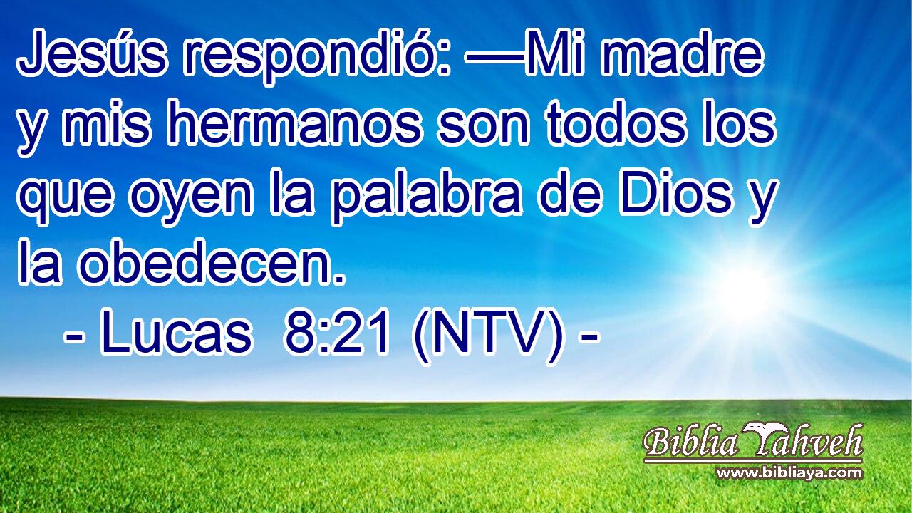 Jesús respondió: —Mi madre y mis hermanos son todos los que oyen la palabra de Dios y la obedecen.