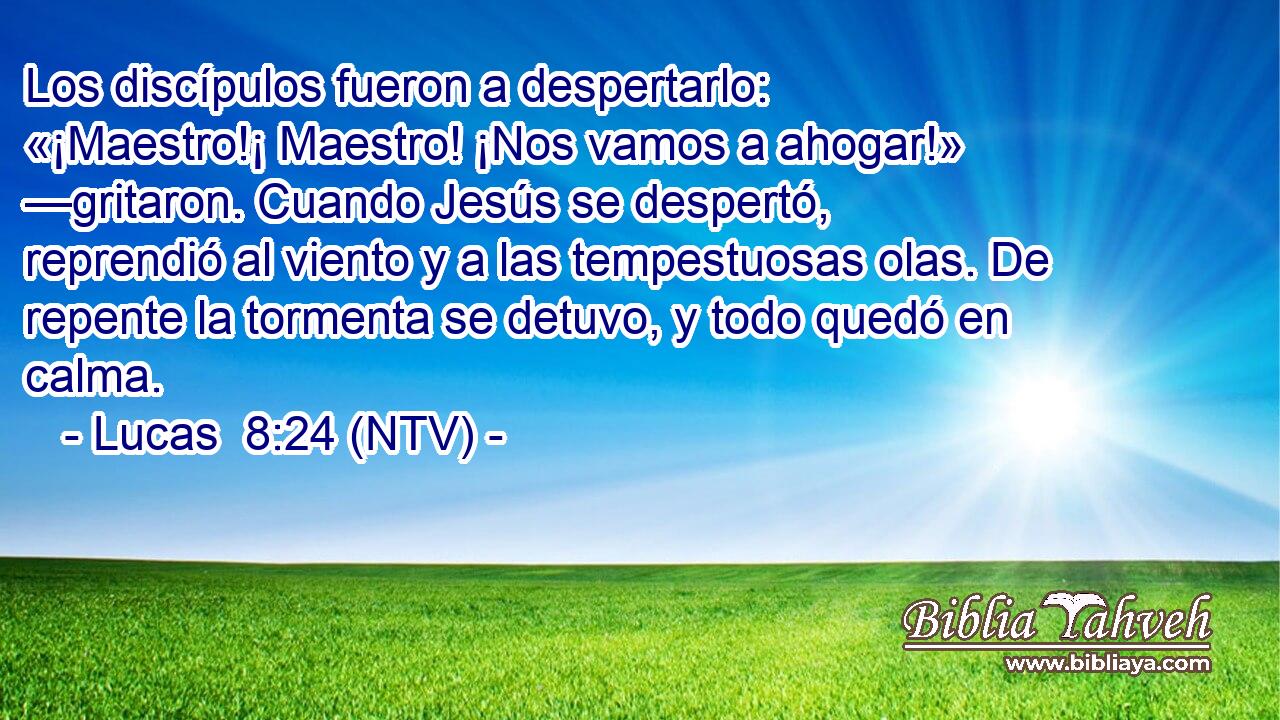 Los discípulos fueron a despertarlo: «¡Maestro!¡ Maestro! ¡Nos vamos a ahogar!» —gritaron. Cuando Jesús se despertó, reprendió al viento y a las tempestuosas olas. De repente la tormenta se detuvo, y todo quedó en calma.