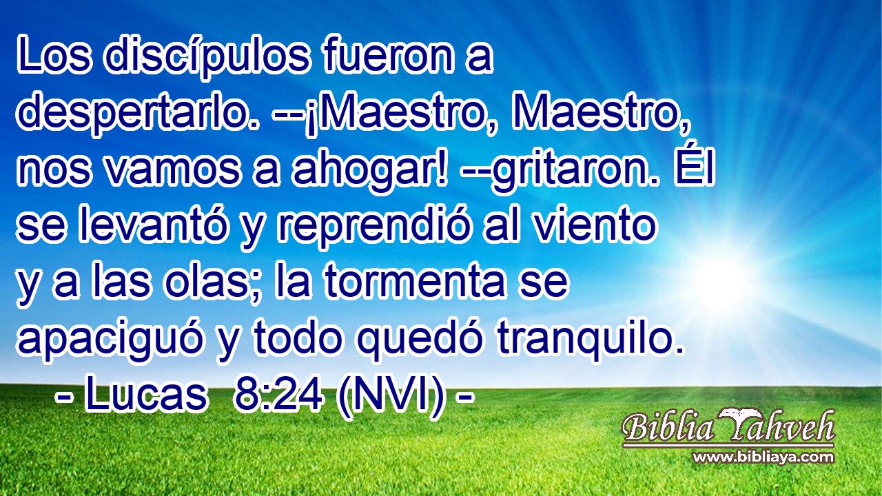  Los discípulos fueron a despertarlo. --¡Maestro, Maestro, nos vamos a ahogar! --gritaron. Él se levantó y reprendió al viento y a las olas; la tormenta se apaciguó y todo quedó tranquilo. 