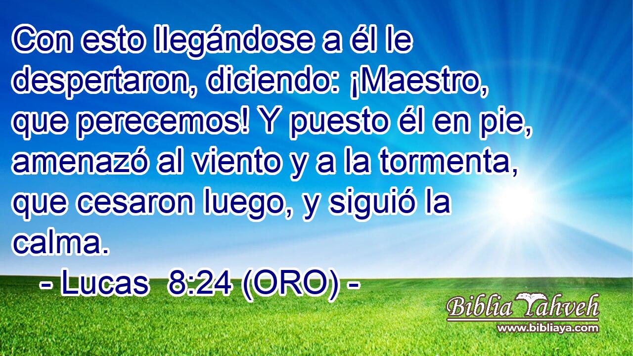  Con esto llegándose a él le despertaron, diciendo: ¡Maestro, que perecemos! Y puesto él en pie, amenazó al viento y a la tormenta, que cesaron luego, y siguió la calma. 