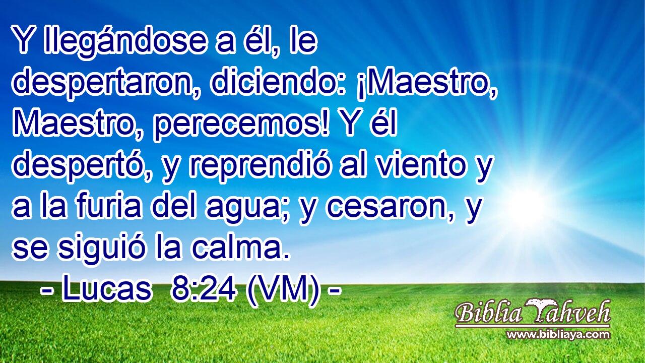  Y llegándose a él, le despertaron, diciendo: ¡Maestro, Maestro, perecemos! Y él despertó, y reprendió al viento y a la furia del agua; y cesaron, y se siguió la calma. 