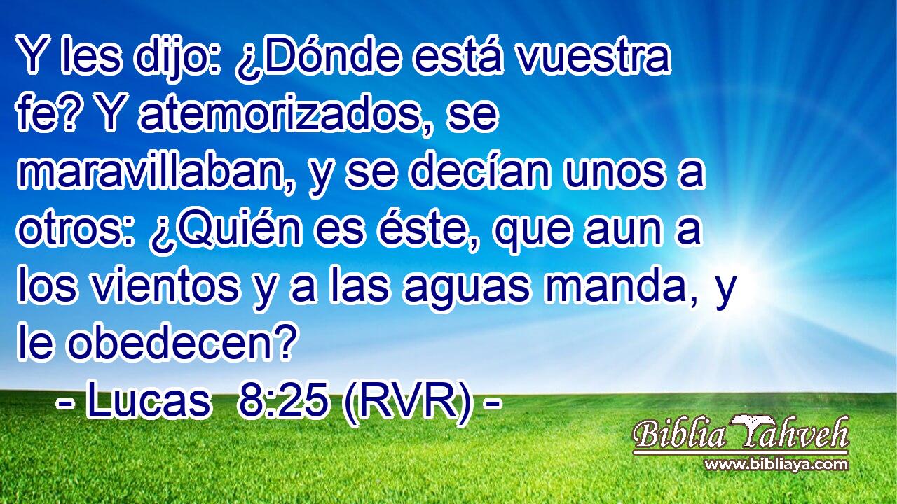 Y les dijo: ¿Dónde está vuestra fe? Y atemorizados, se maravillaban, y se decían unos a otros: ¿Quién es éste, que aun a los vientos y a las aguas manda, y le obedecen?