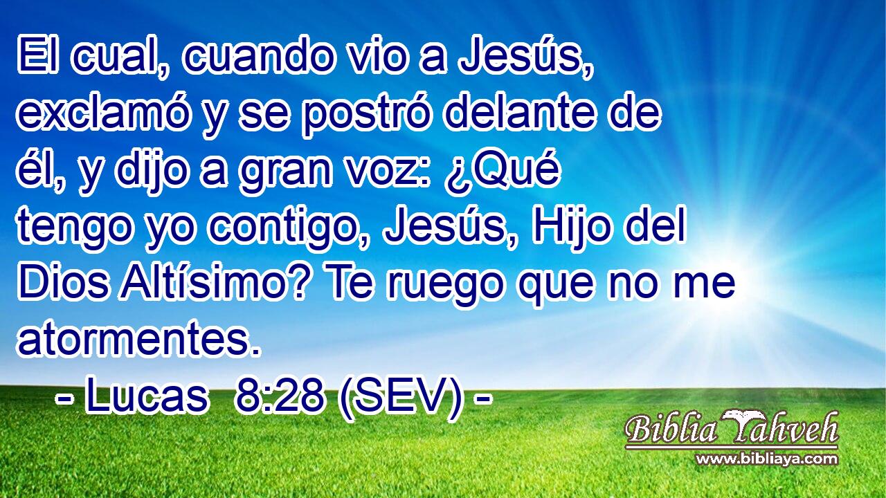 El cual, cuando vio a Jesús, exclamó y se postró delante de él, y dijo a gran voz: ¿Qué tengo yo contigo, Jesús, Hijo del Dios Altísimo? Te ruego que no me atormentes.