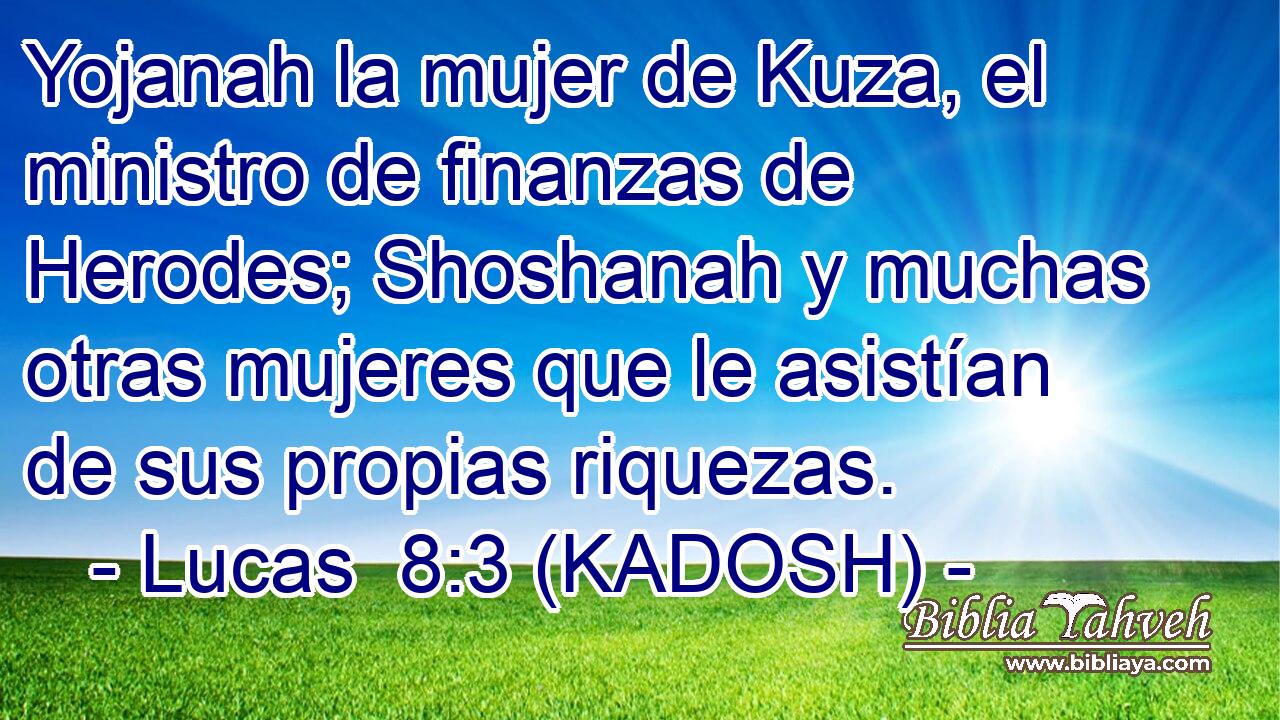  Yojanah la mujer de Kuza, el ministro de finanzas de Herodes; Shoshanah y muchas otras mujeres que le asistían de sus propias riquezas. 