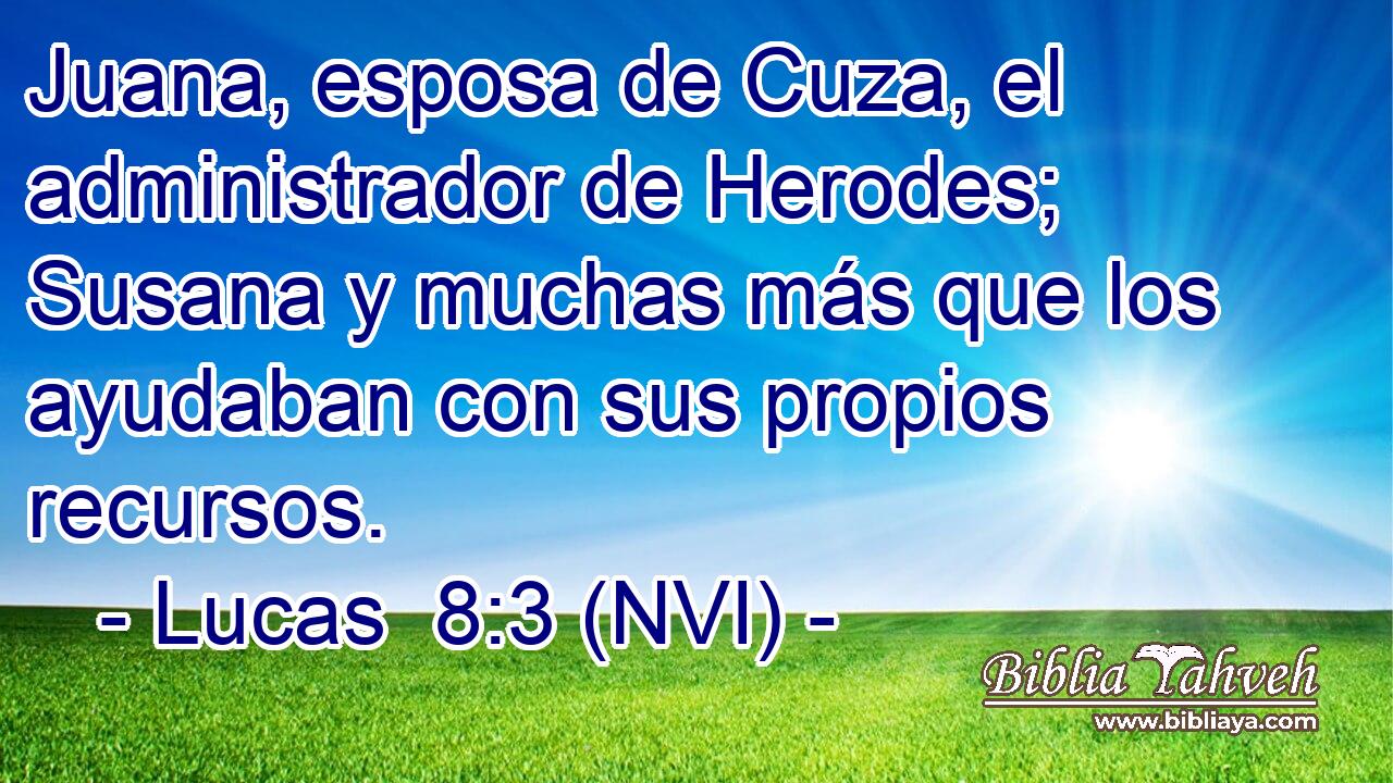  Juana, esposa de Cuza, el administrador de Herodes; Susana y muchas más que los ayudaban con sus propios recursos. 