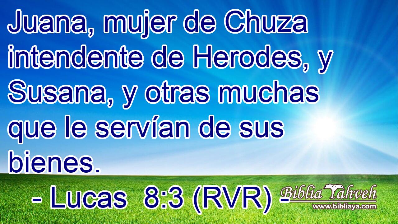 Juana, mujer de Chuza intendente de Herodes, y Susana, y otras muchas que le servían de sus bienes.