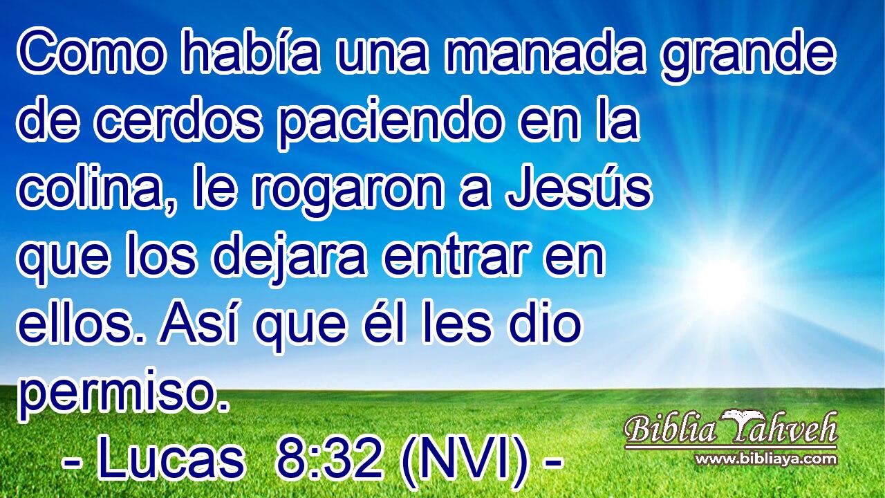  Como había una manada grande de cerdos paciendo en la colina, le rogaron a Jesús que los dejara entrar en ellos. Así que él les dio permiso. 