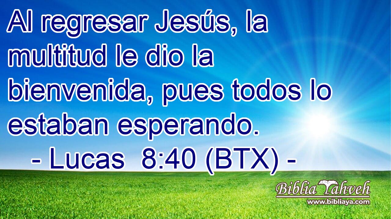 Al regresar Jesús, la multitud le dio la bienvenida, pues todos lo estaban esperando.