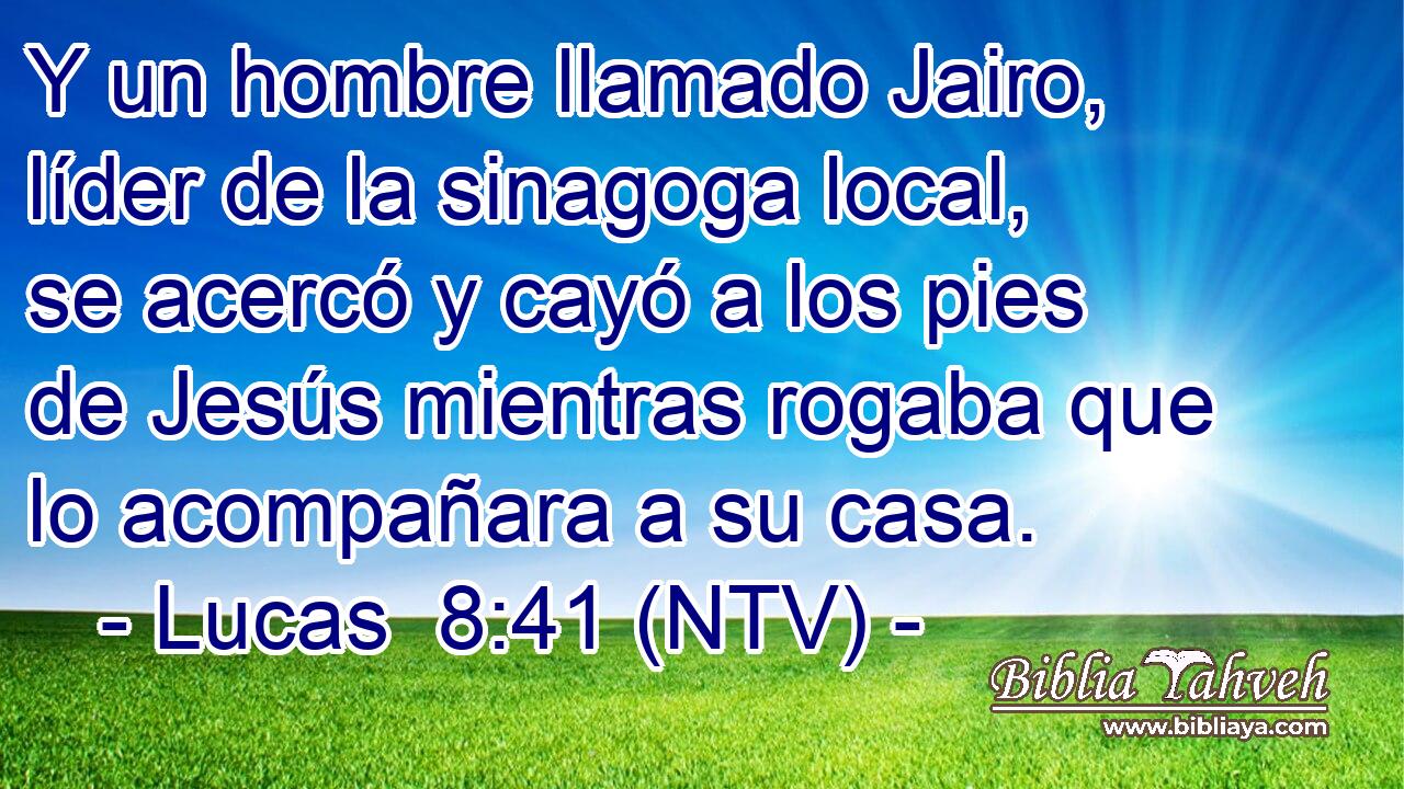 Y un hombre llamado Jairo, líder de la sinagoga local, se acercó y cayó a los pies de Jesús mientras rogaba que lo acompañara a su casa.