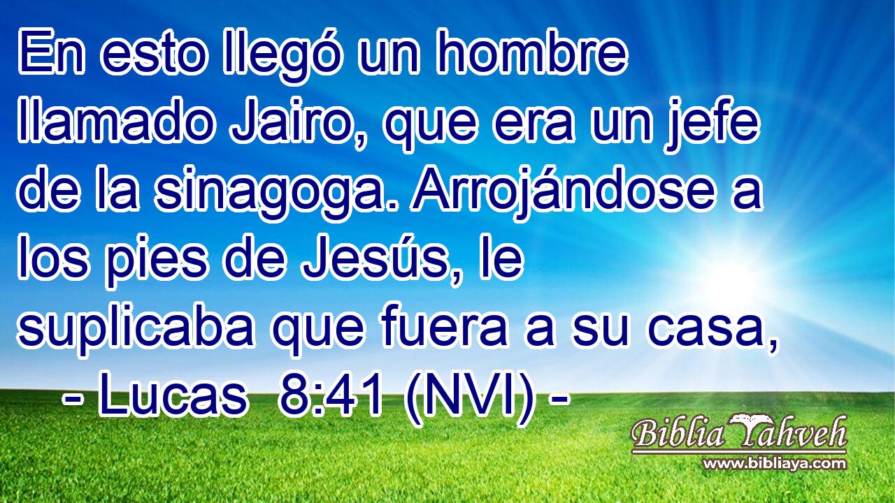  En esto llegó un hombre llamado Jairo, que era un jefe de la sinagoga. Arrojándose a los pies de Jesús, le suplicaba que fuera a su casa, 