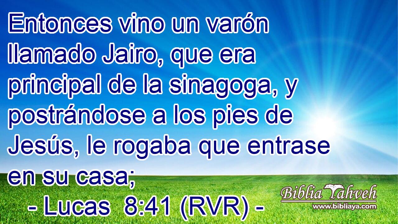 Entonces vino un varón llamado Jairo, que era principal de la sinagoga, y postrándose a los pies de Jesús, le rogaba que entrase en su casa;