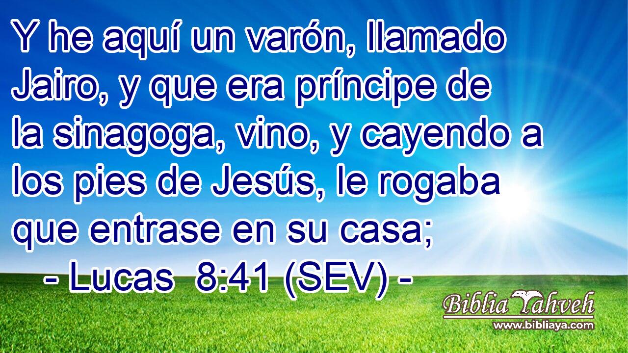 Y he aquí un varón, llamado Jairo, y que era príncipe de la sinagoga, vino, y cayendo a los pies de Jesús, le rogaba que entrase en su casa;