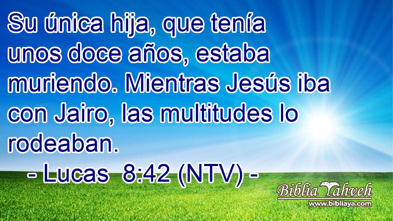 Su única hija, que tenía unos doce años, estaba muriendo. Mientras Jesús iba con Jairo, las multitudes lo rodeaban.