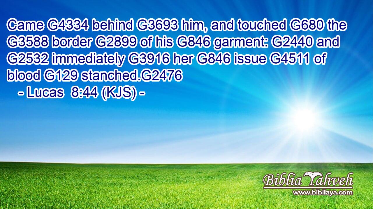 Came G4334 behind G3693 him, and touched G680 the G3588 border G2899 of his G846 garment: G2440 and G2532 immediately G3916 her G846 issue G4511 of blood G129 stanched.G2476
