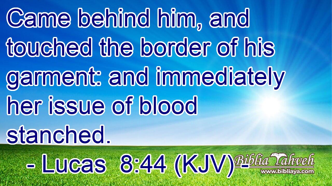 Came behind him, and touched the border of his garment: and immediately her issue of blood stanched.