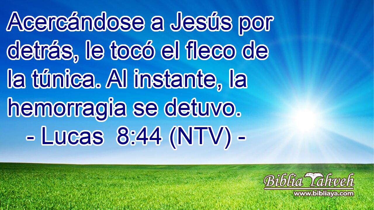 Acercándose a Jesús por detrás, le tocó el fleco de la túnica. Al instante, la hemorragia se detuvo.