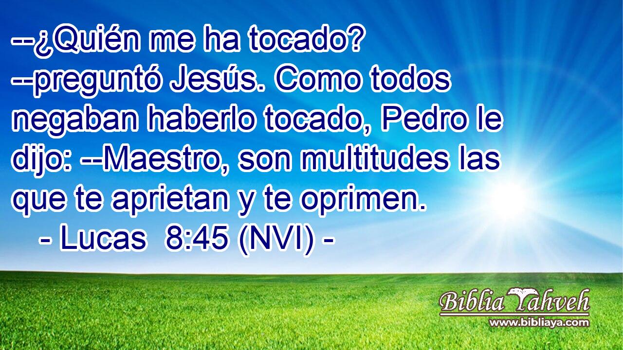  --¿Quién me ha tocado? --preguntó Jesús. Como todos negaban haberlo tocado, Pedro le dijo: --Maestro, son multitudes las que te aprietan y te oprimen. 