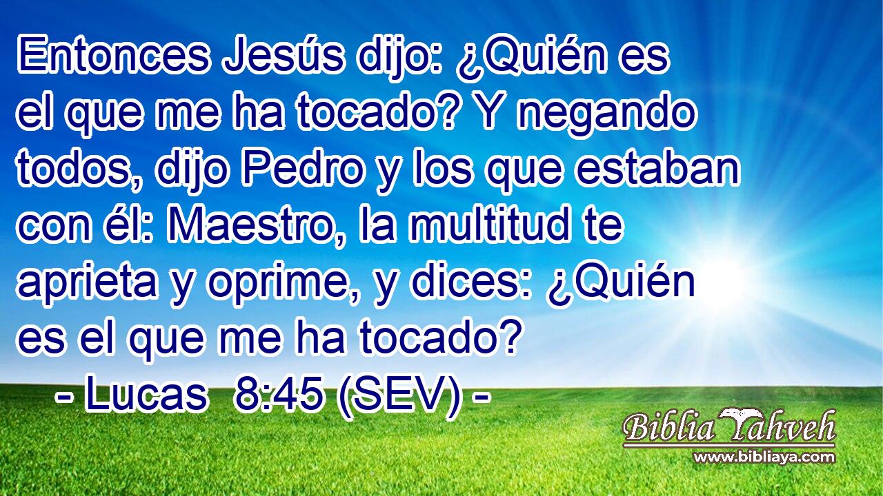 Entonces Jesús dijo: ¿Quién es el que me ha tocado? Y negando todos, dijo Pedro y los que estaban con él: Maestro, la multitud te aprieta y oprime, y dices: ¿Quién es el que me ha tocado?