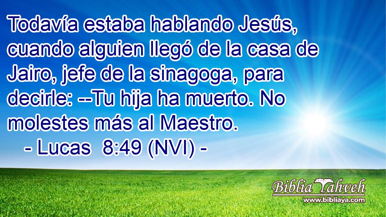  Todavía estaba hablando Jesús, cuando alguien llegó de la casa de Jairo, jefe de la sinagoga, para decirle: --Tu hija ha muerto. No molestes más al Maestro. 